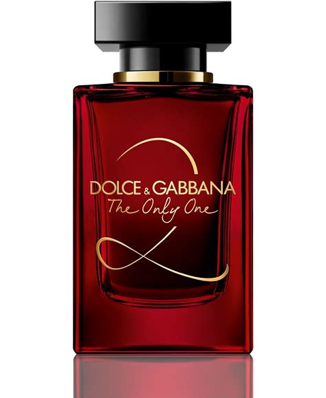 dolce gabbana parfyme dame|macy's dolce gabbana perfume.